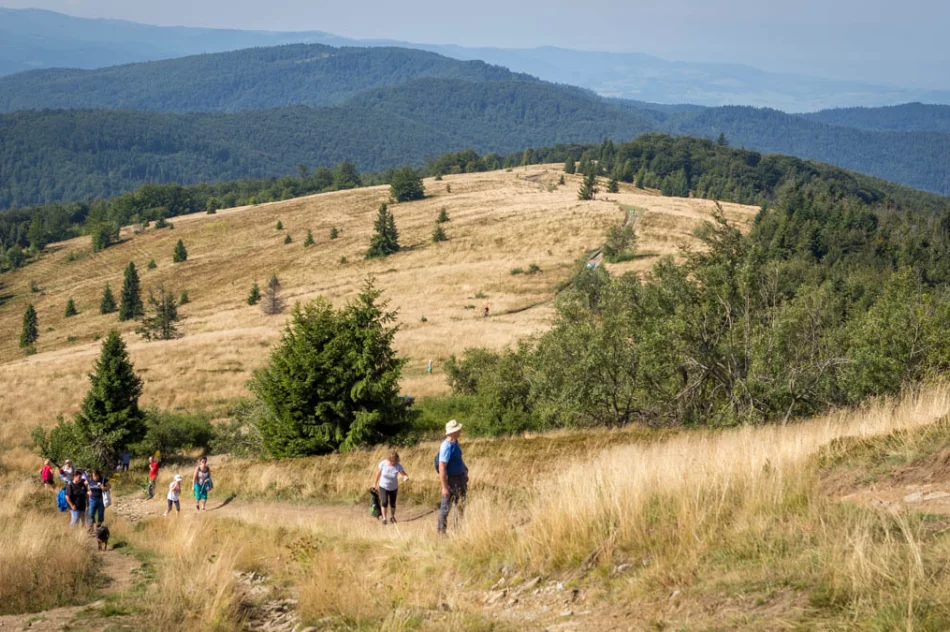 Odkryj Beskid Wyspowy - Mogielica 2019 - zdjęcie 14