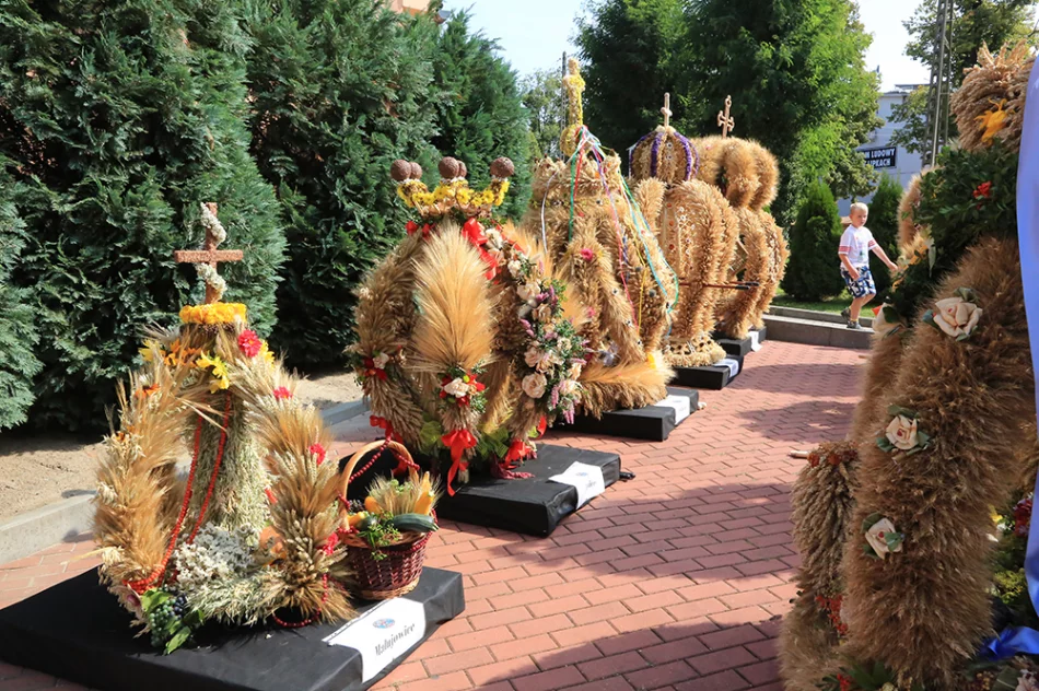 Delegacja z gminy Limanowa uczestniczyła w "Dożynkach" gminy Skarbimierz - zdjęcie 3
