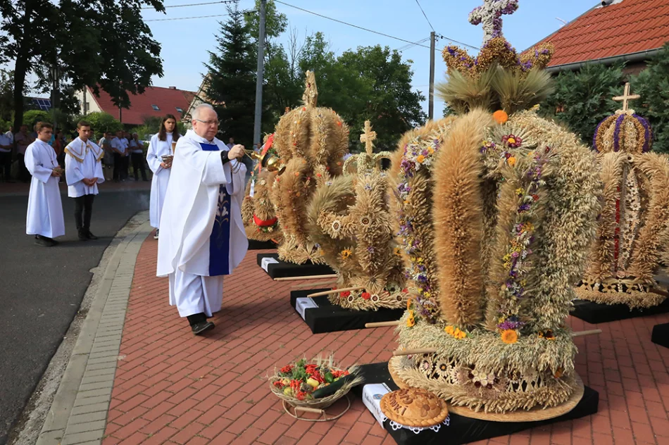 Delegacja z gminy Limanowa uczestniczyła w "Dożynkach" gminy Skarbimierz - zdjęcie 13