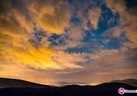 Miasto przeznaczy 150 tys. zł na program LIFE - zdjęcie główne