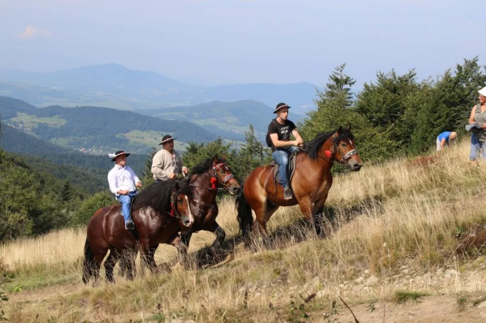 Miłośnicy gór zawędrowali na najwyższy szczyt Beskidu Wyspowego - zdjęcie 2