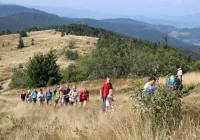 Miłośnicy gór zawędrowali na najwyższy szczyt Beskidu Wyspowego - zdjęcie główne