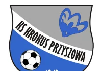 Historyczne zwycięstwo Krokusa Przyszowa - zdjęcie główne