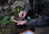 Jakie tajemnice skrywa Łyżka? Odkryto ceramikę z epoki brązu! - zdjęcie główne