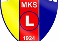 Zarząd Limanovii podsumował kadencję, wybór nowych władz za dwa tygodnie - zdjęcie główne