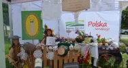 Gospodynie w drugim etapie V edycji „Bitwy Regionów” - zdjęcie 3