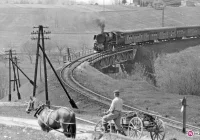 Kury przestawały się nosić ze strachu przed parowozami - zdjęcie główne