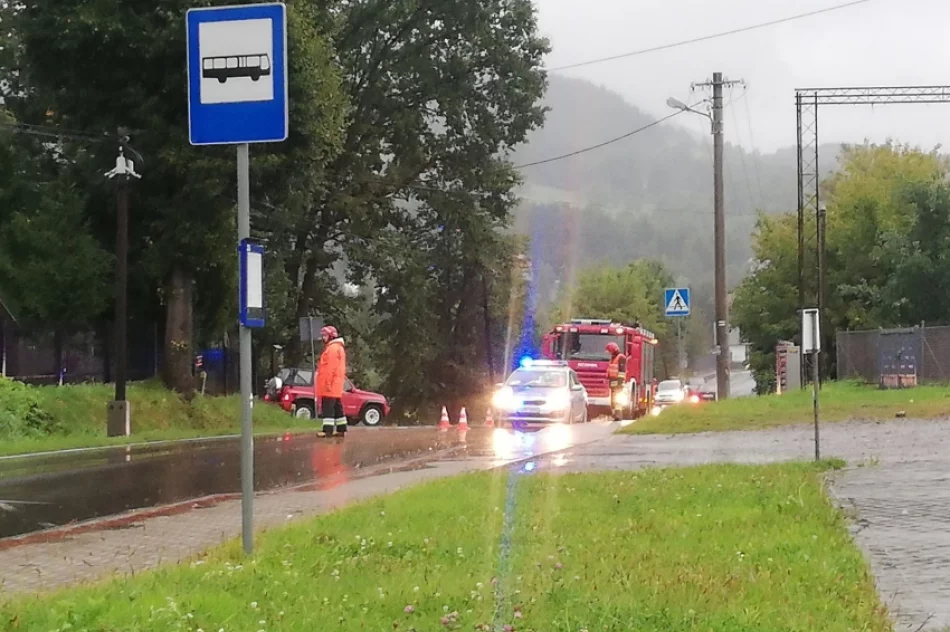 Potrącenie 66-latki na przejściu - zdjęcie 2