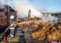 Pożar budynku mieszkalno-gospodarczego i nietypowa akcja: wyciągano ze studni byka - zdjęcie główne
