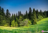 Dziś rusza kolejna edycja Ogrodów Poetyckich - zdjęcie główne