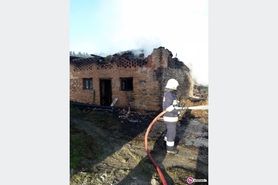 Pożar budynku mieszkalno-gospodarczego i nietypowa akcja: wyciągano ze studni byka - zdjęcie 2