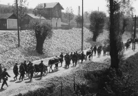 „Szlakiem pamięci ofiar II Wojny Światowej”. Odbędzie się XI spacer historyczny - zdjęcie główne