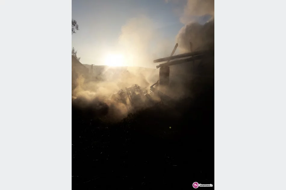 Pożar budynku mieszkalno-gospodarczego i nietypowa akcja: wyciągano ze studni byka - zdjęcie 3