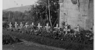 XI Spacer Historyczny po Limanowej - zdjęcie 2