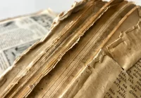 "Wycinki z przedwojennej prasy" - cz. CXV - zdjęcie główne