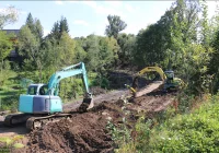 REWITALIZACJA PARKU - zdjęcie główne