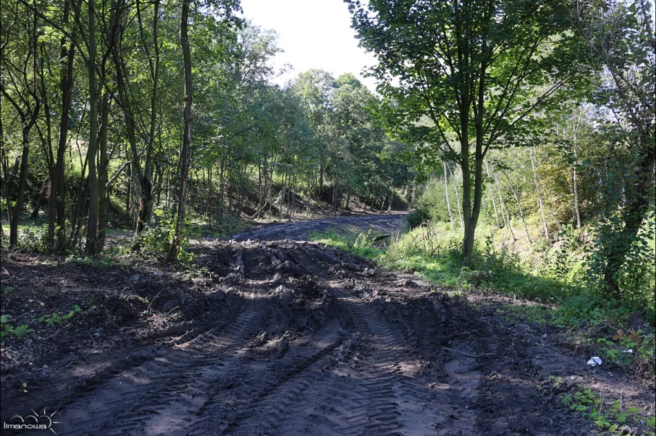 REWITALIZACJA PARKU - zdjęcie 11