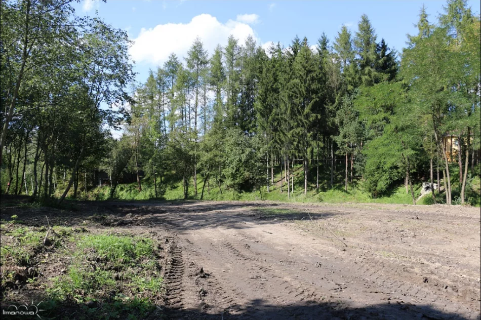 Powstaje kompleks o pow. 10 ha. Każdy mieszkaniec ma w nim znaleźć atrakcje dla siebie - zdjęcie 7