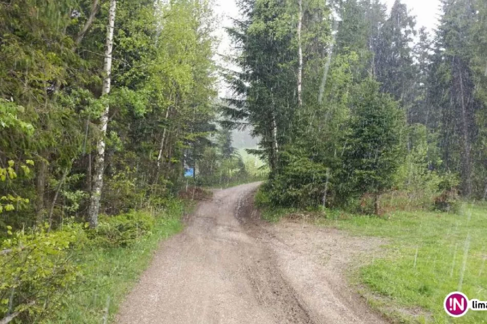 W kalendarzu wiosna, a w górach znów zima (wideo) - zdjęcie 2