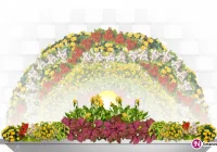 5 tys. kwiatów ozdobi miasto - zdjęcie główne