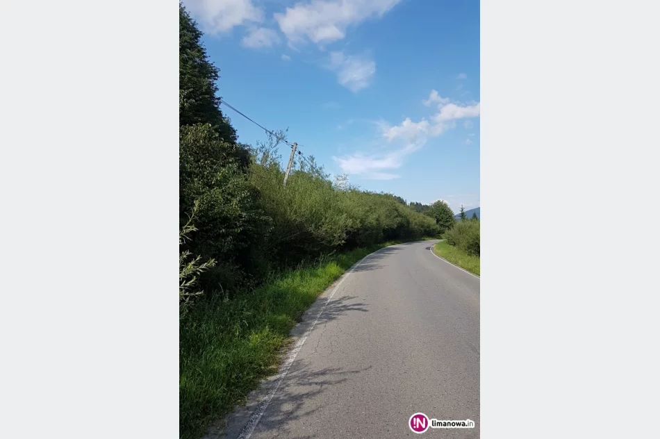 Betonowe słupy niebezpiecznie pochylają się nad drogą - zdjęcie 3