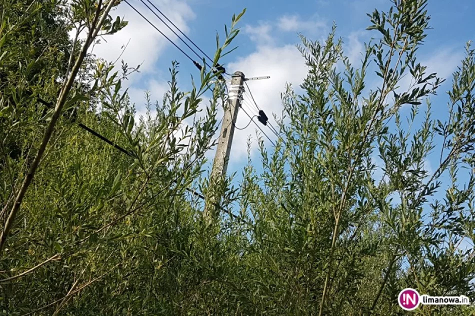 Betonowe słupy niebezpiecznie pochylają się nad drogą - zdjęcie 4