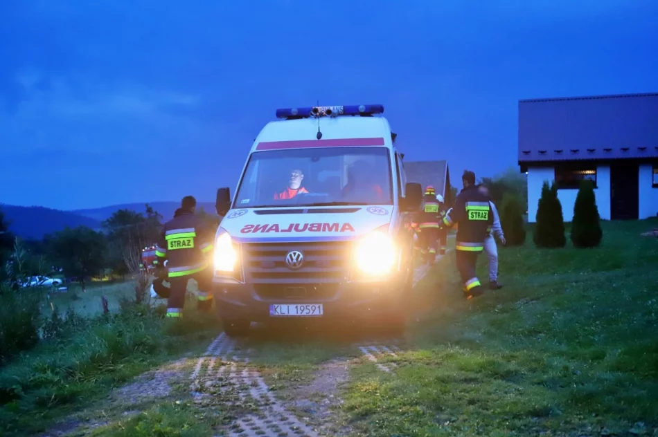 9 strażackich zastępów gasiło pożar budynku gospodarczego - zdjęcie 2