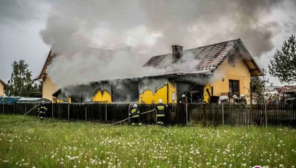 Pożar w zakładzie stolarskim. 350 tys. zł strat (wideo) - zdjęcie 1