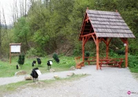 Miejsce dla fanów „kwaśnej wody” - zdjęcie główne