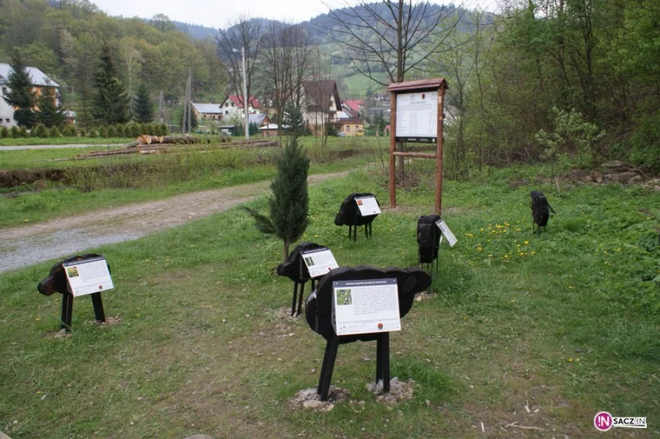 Miejsce dla fanów „kwaśnej wody” - zdjęcie 3