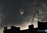 Zanieczyszczone powietrze niszczy nie tylko płuca i serce - zdjęcie główne