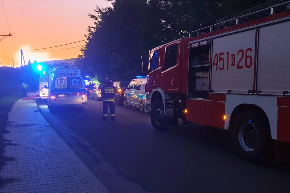 Zderzenie samochodów - siedem osób poszkodowanych - zdjęcie 4