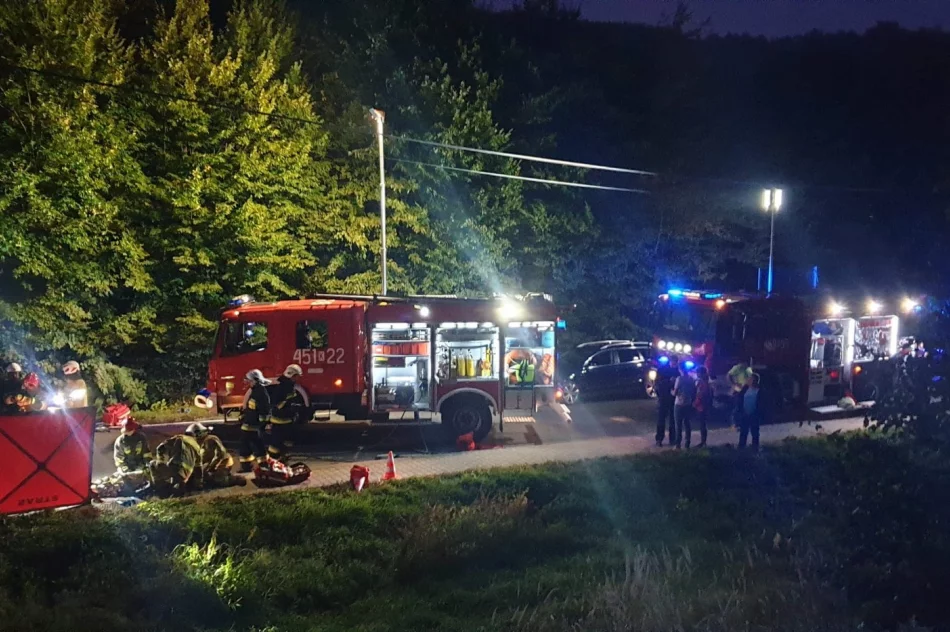 Zderzenie samochodów - siedem osób poszkodowanych - zdjęcie 5