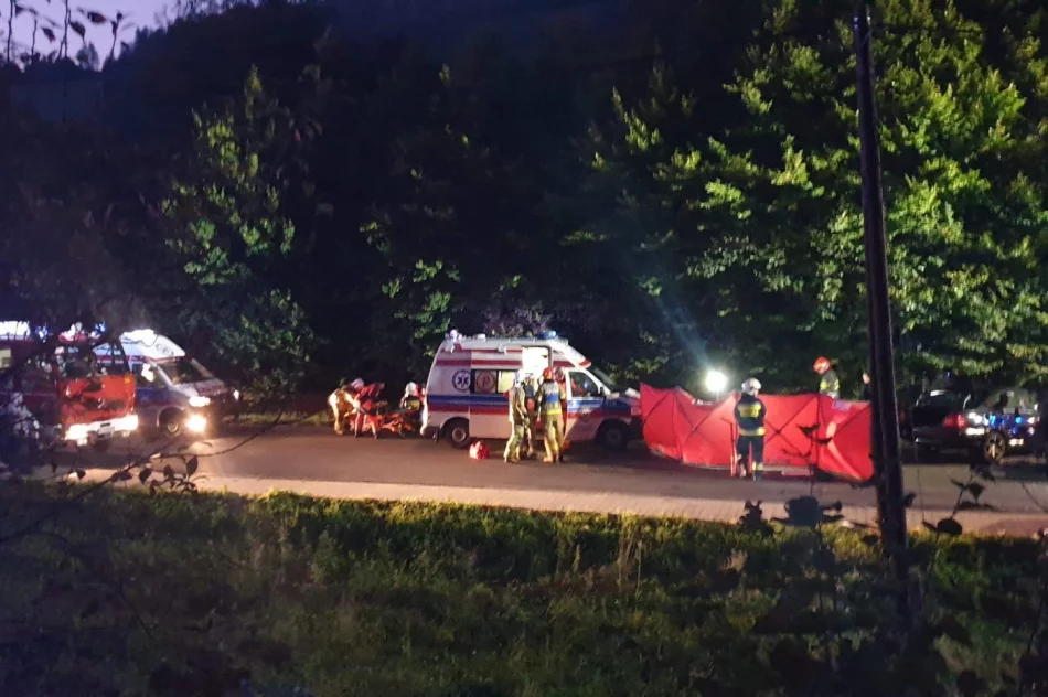 Zderzenie samochodów - siedem osób poszkodowanych - zdjęcie 7