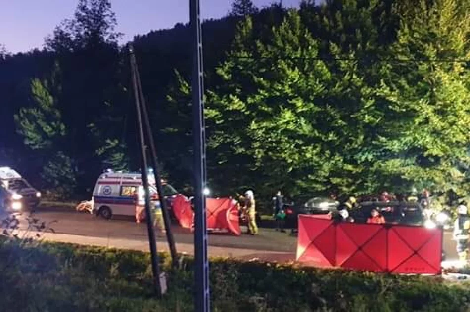 Zderzenie samochodów - siedem osób poszkodowanych - zdjęcie 8