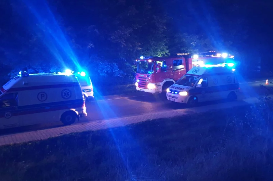 Zderzenie samochodów - siedem osób poszkodowanych - zdjęcie 11