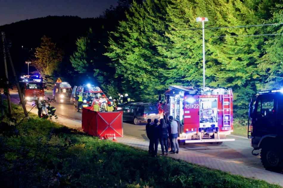 Zderzenie samochodów - siedem osób poszkodowanych - zdjęcie 14