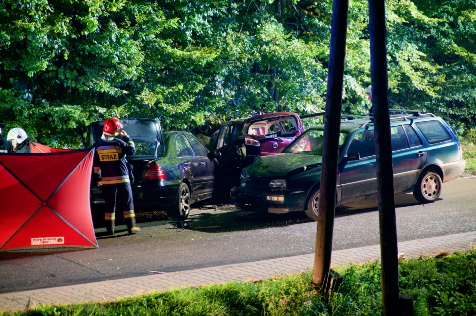 Zderzenie samochodów - siedem osób poszkodowanych - zdjęcie 17