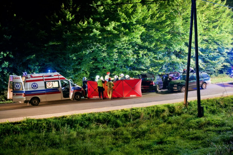 Zderzenie samochodów - siedem osób poszkodowanych - zdjęcie 18