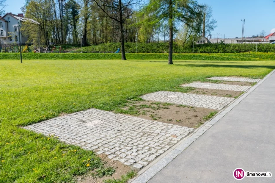 Siłownie zniknęły, promesę wstrzymano. Kto pisze donosy na władze miasta? - zdjęcie 2