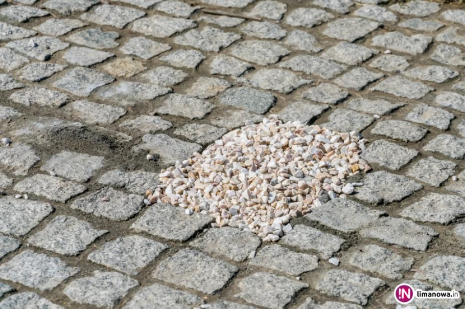 Siłownie zniknęły, promesę wstrzymano. Kto pisze donosy na władze miasta? - zdjęcie 3