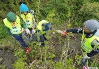 'Czysta Małopolska': proekologiczne działania uczniów szkoły - zdjęcie główne