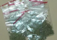 Odpowiedzą za narkotyki przed Policją - zdjęcie główne