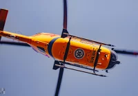 Małopolska: Pień drewna zabił mężczyznę podczas wycinki drzew - zdjęcie główne