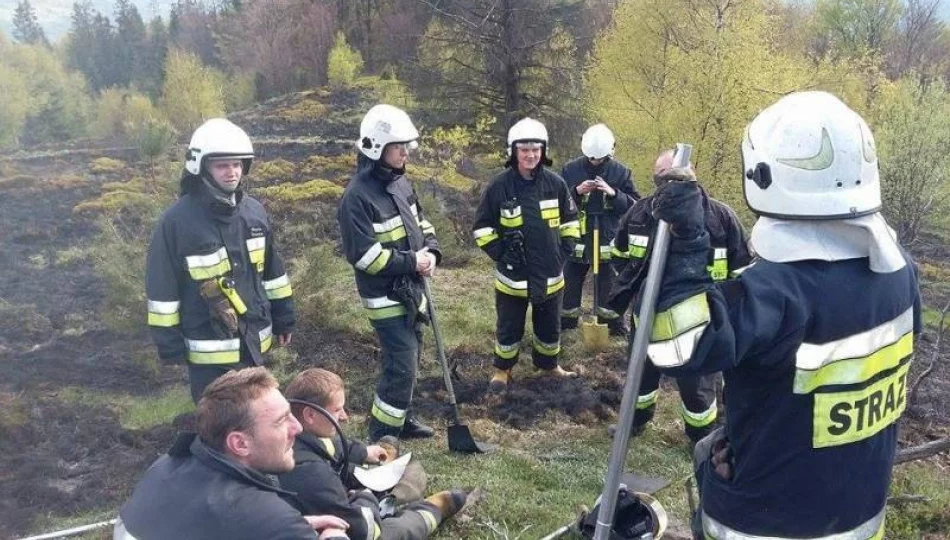 W Rytrze płoną suche trawy - zdjęcie 1