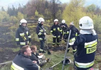 W Rytrze płoną suche trawy - zdjęcie główne