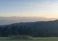 Spadochroniarze ukarani za zakłócanie ciszy i spokoju na terenie parku narodowego - zdjęcie główne