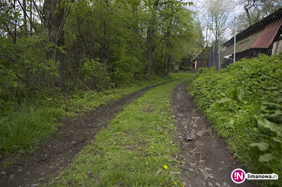 Absurd: najbardziej reprezentatywna, 'publiczna' droga w centrum - zdjęcie 4