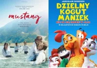 Bilety do Kina Sokół: „Mustang” i „Dzielny kogut Maniek” - zdjęcie główne