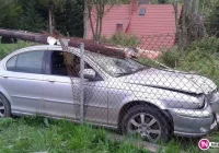 Policjanci dali mandat. Świadek twierdzi, że kierował kto inny - zdjęcie główne